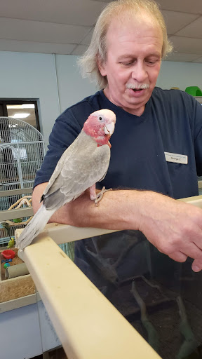 Pet Store «Claremont Pet & Aquarium Center», reviews and photos, 201 Washington St, Claremont, NH 03743, USA