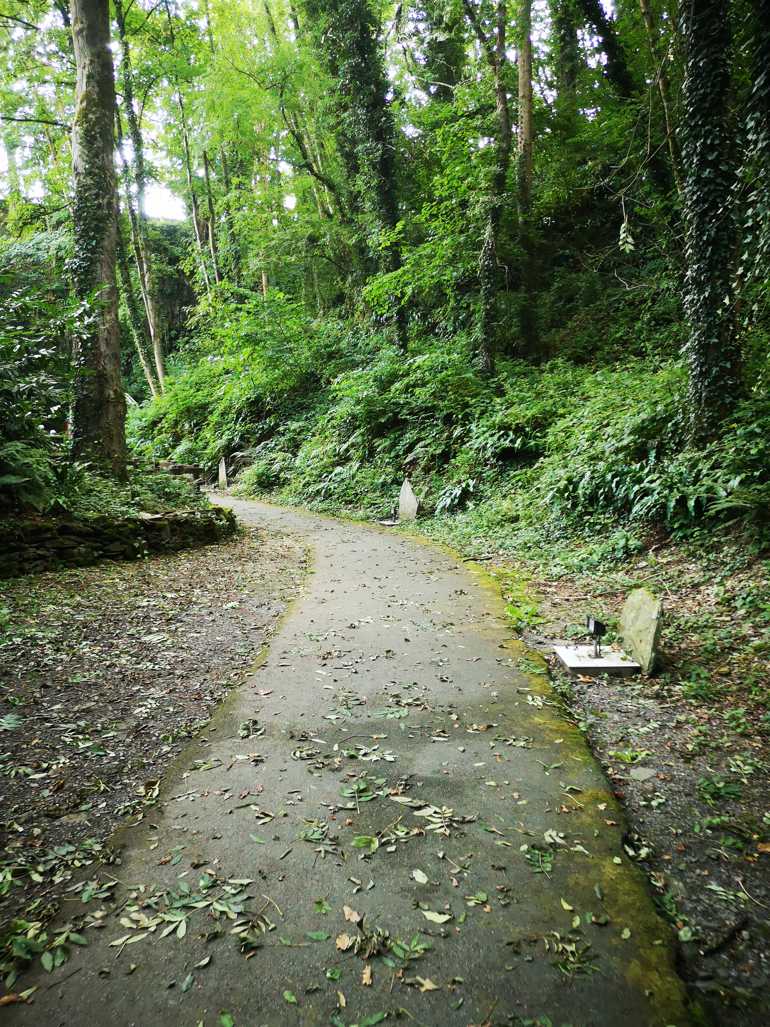 Photo n° 6 de l'avis de Syndie.m fait le 26/08/2021 à 21:17