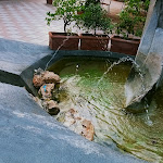 Photo n°5 de l'avis de Leslie.i fait le 13/10/2023 à 08:51 sur le  Hotel Caesar Palace à Naxos