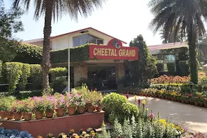 Cheetal Grand Restaurant image