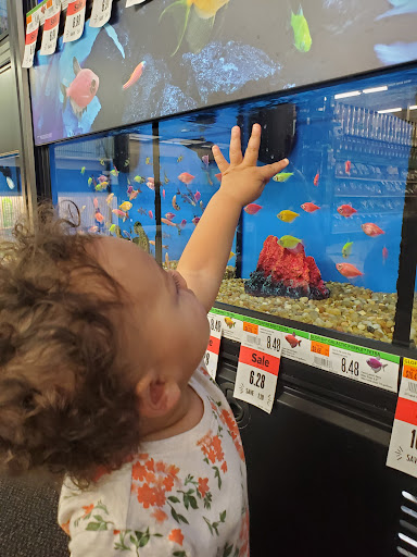 Pet Supply Store «Pet Supplies Plus», reviews and photos, 1240 Seminole Trail, Charlottesville, VA 22901, USA