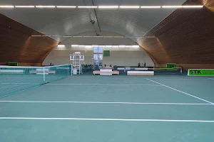 Ratufa Arena image