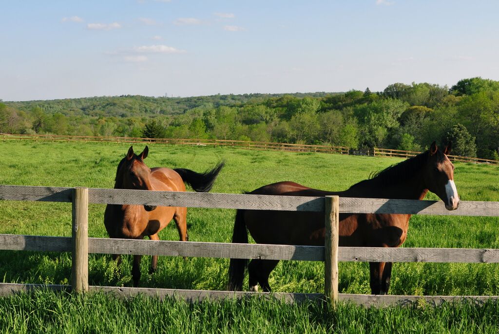 Ponca Hills Farm