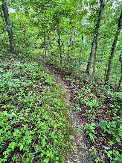 Deer Hollow Trail Trailhead