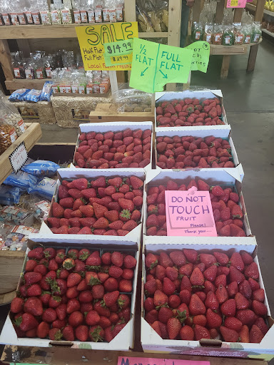 Produce Market «Dixon Fruit Market», reviews and photos, 7808 Batavia Rd, Dixon, CA 95620, USA