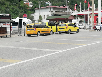 Artvin Terminali