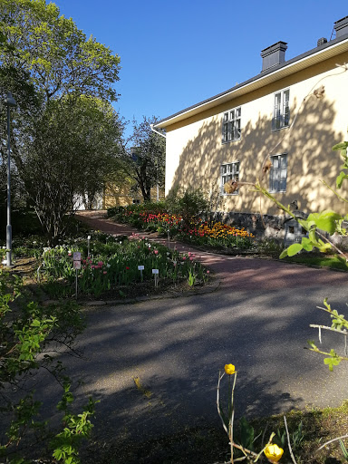 Kumpula Botanical Gardens