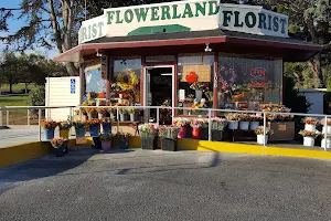 Flowerland Floral Shop image