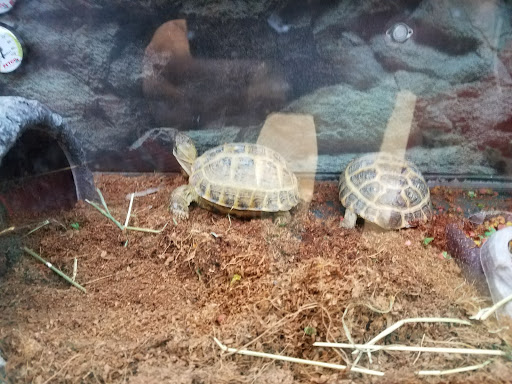 Pet Supply Store «Petco Animal Supplies», reviews and photos, 125 Lincoln Hwy, Exton, PA 19341, USA