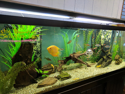 Pet Store «Fins Feathers Paws Claws», reviews and photos, 201 Station Rd, Quakertown, PA 18951, USA