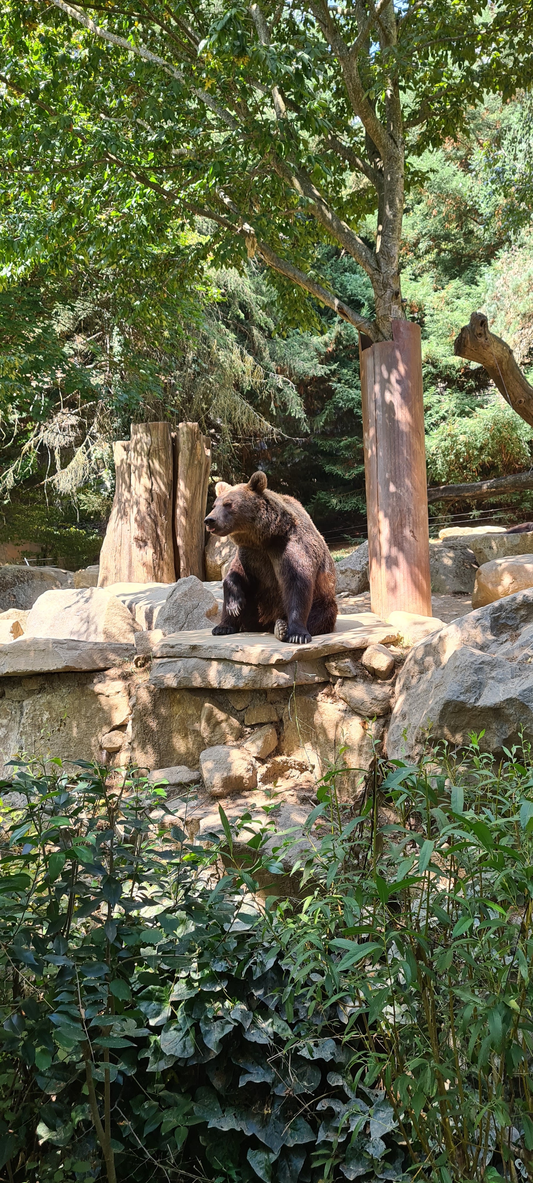 Photo n° 5 de l'avis de Julie.u fait le 15/08/2022 à 13:03