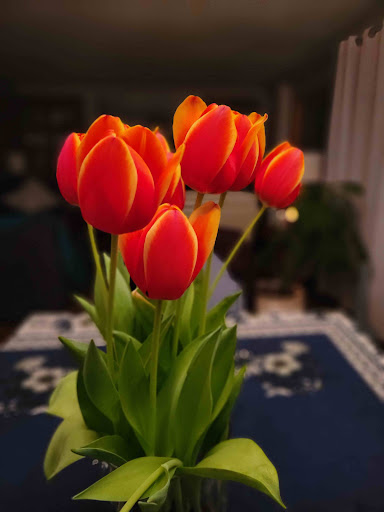 Florist «Cardell Floral», reviews and photos, 3542 Douglas Dr N, Minneapolis, MN 55422, USA