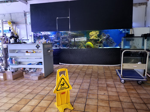 Pet Supply Store «Seascape Aquarium & Pet Center», reviews and photos, 2162 Gulf Gate Dr, Sarasota, FL 34231, USA