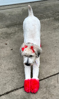 Salon DeOhGee - Photo 3 - Car repair in Northville Charter Township, MI, South Lyon