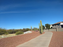 Durazo Landscaping - Photo 9 - Car repair in , Tucson