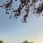 Photo n°2 de l'avis de R. fait le 09/08/2021 à 18:55 sur le  Palaphita Cascais à Cascais