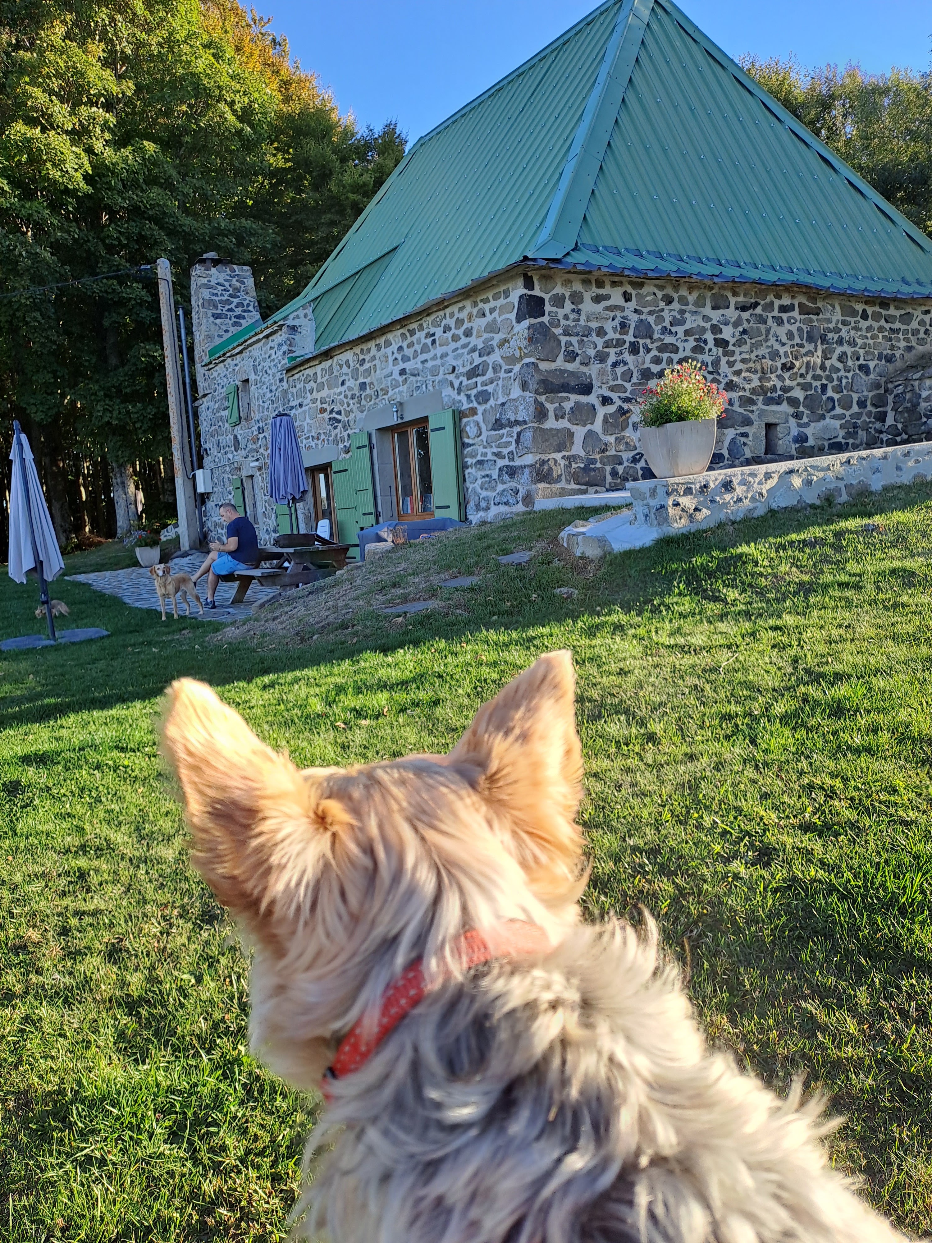 Photo n° 1 de l'avis de Nicole. fait le 29/09/2023 à 06:27