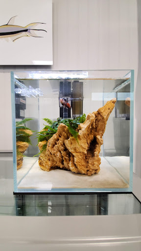 Aquarium Design Group