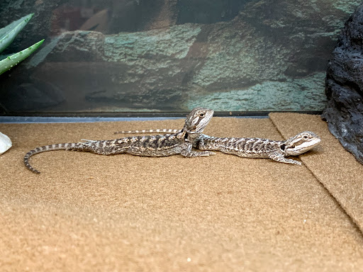 Pet Supply Store «Petco Animal Supplies», reviews and photos, 12014 SW 88th St, Miami, FL 33186, USA