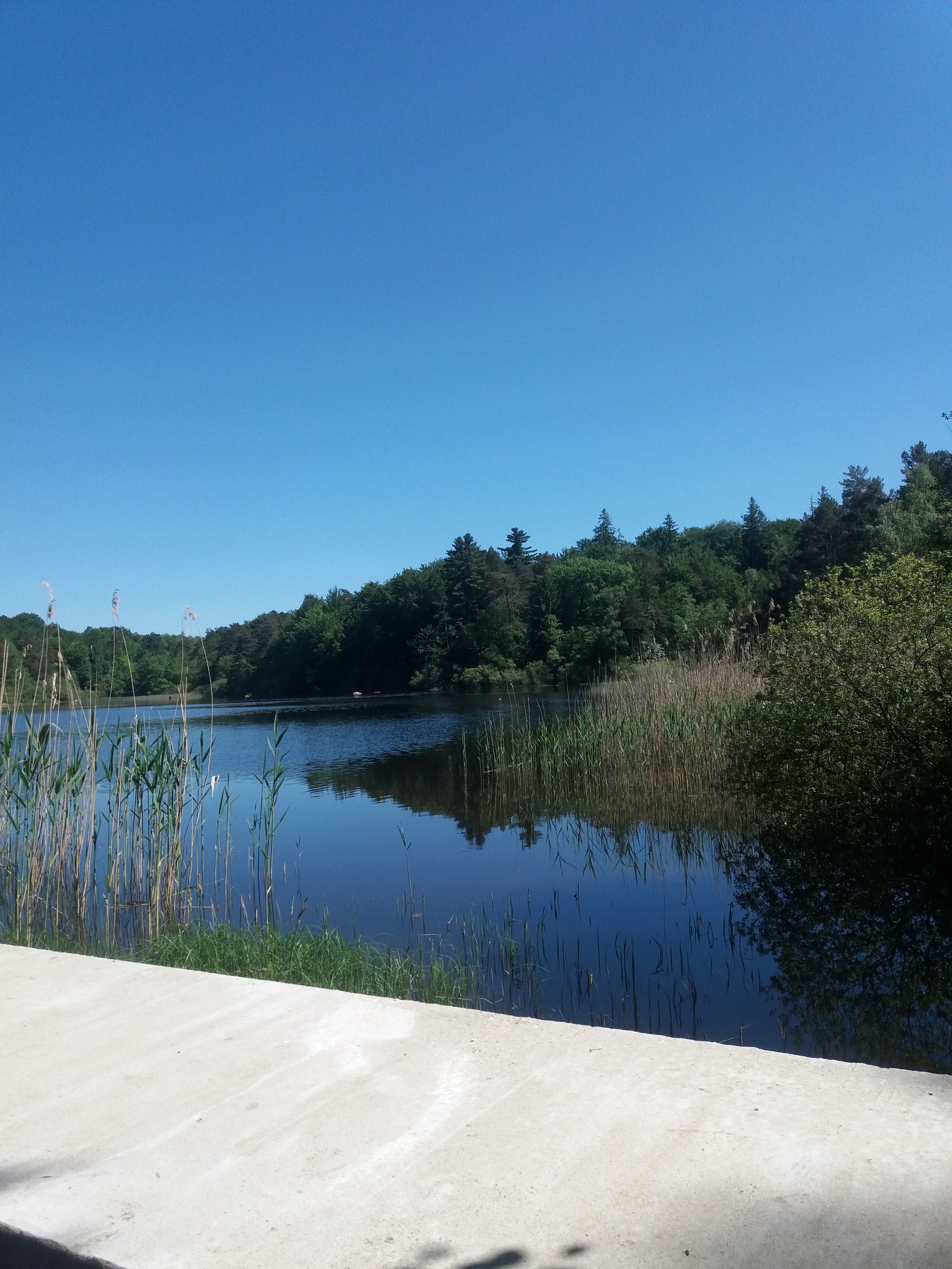 Photo n° 13 de l'avis de Carole.A fait le 03/06/2019 à 15:30