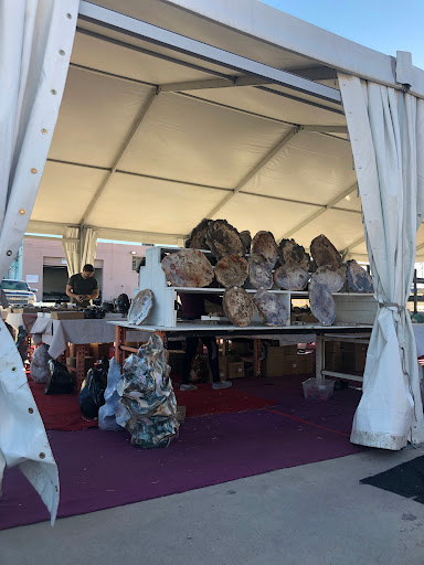 Gift Shop «Stone Hut Fossil Shop», reviews and photos, 1184 FM 205, Glen Rose, TX 76043, USA