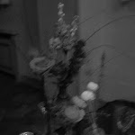 Photo n°16 de l'avis de camilla.i fait le 06/03/2023 à 08:22 sur le  portico del seminario à Calcinate