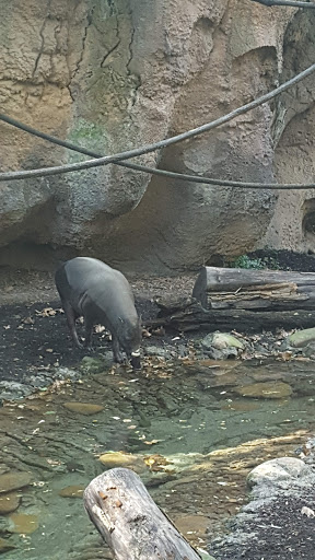 Park «Joe Creason Park», reviews and photos, 1297 Trevilian Way, Louisville, KY 40213, USA