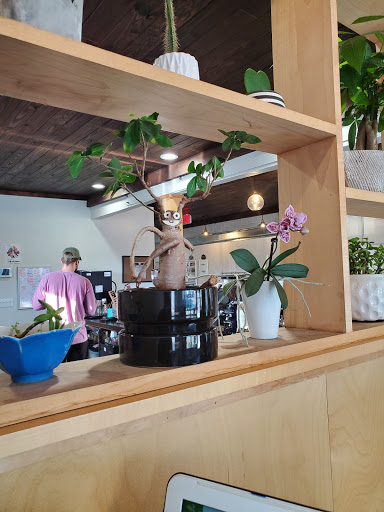 Coffee Shop «Trilogy Coffee Roasting Co», reviews and photos, 136 W Georgia Ave, DeLand, FL 32720, USA