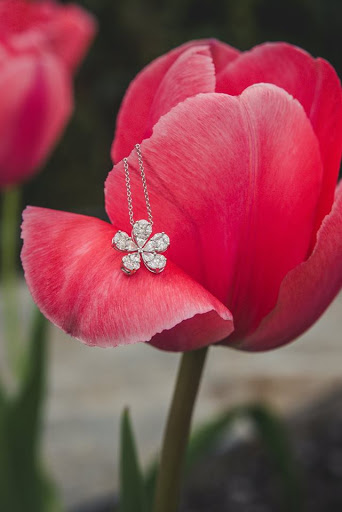 Jewelry Store «Branford Jewelers», reviews and photos, 567 Main St, Branford, CT 06405, USA