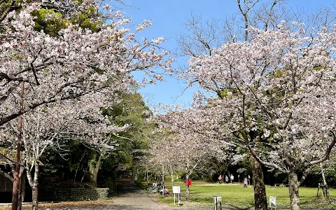 Tenjinyama Park image
