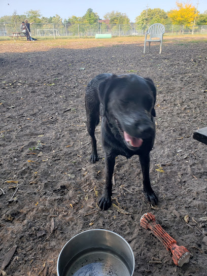 Carol Disher Leash-Free Dog Park