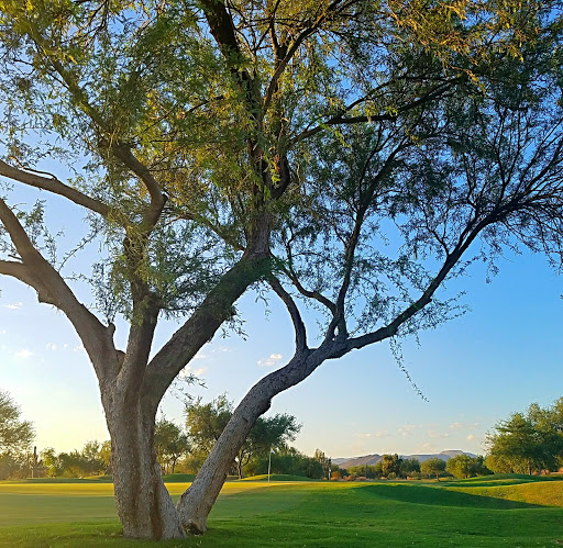 Golf Club «Tatum Ranch Golf Club», reviews and photos, 29888 N Tatum Ranch Dr, Cave Creek, AZ 85331, USA