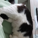 Photo n° 2 de l'avis de Alexandre.u fait le 03/05/2020 à 16:12 pour Fondation Clara Beauvais à Beauvais
