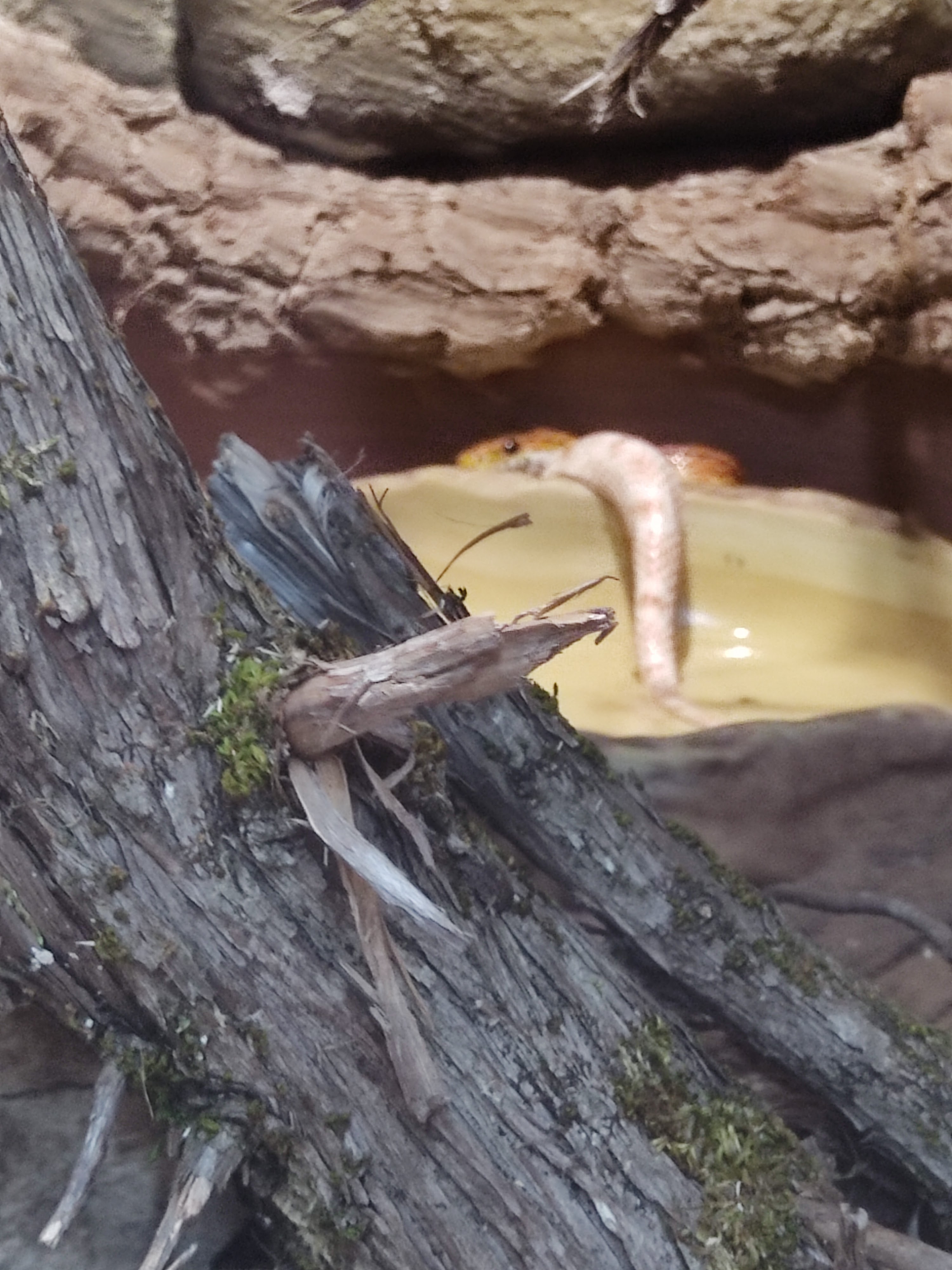 Photo n° 5 de l'avis de Florence.e fait le 01/05/2023 à 10:41