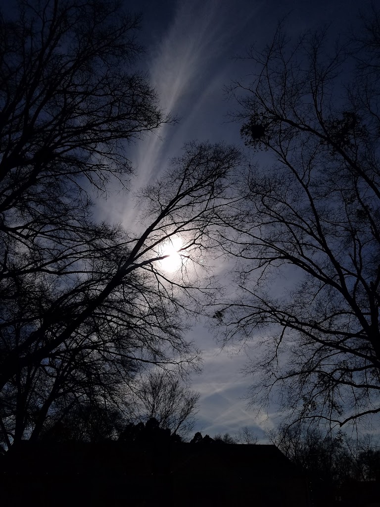 Miracles In the Making Hair 28086