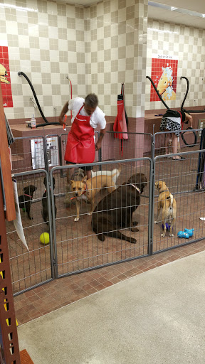 Pet Supply Store «Pet Food Express», reviews and photos, 9153 W Olympic Blvd, Beverly Hills, CA 90212, USA