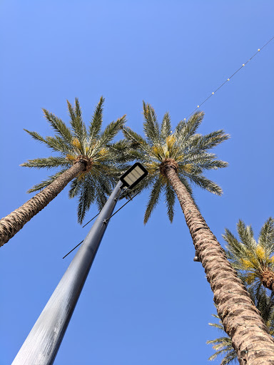 Performing Arts Theater «The Smith Center», reviews and photos, 361 Symphony Park Avenue, Las Vegas, NV 89106, USA