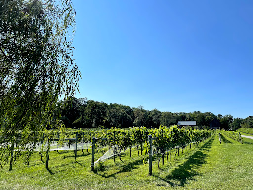 Winery «Great Frogs Winery», reviews and photos, 3218 Harness Creek Rd, Annapolis, MD 21403, USA