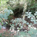 Photo n°7 de l'avis de Valentina.a fait le 02/10/2021 à 14:58 sur le  Hotel Valle Orientina à Pitigliano