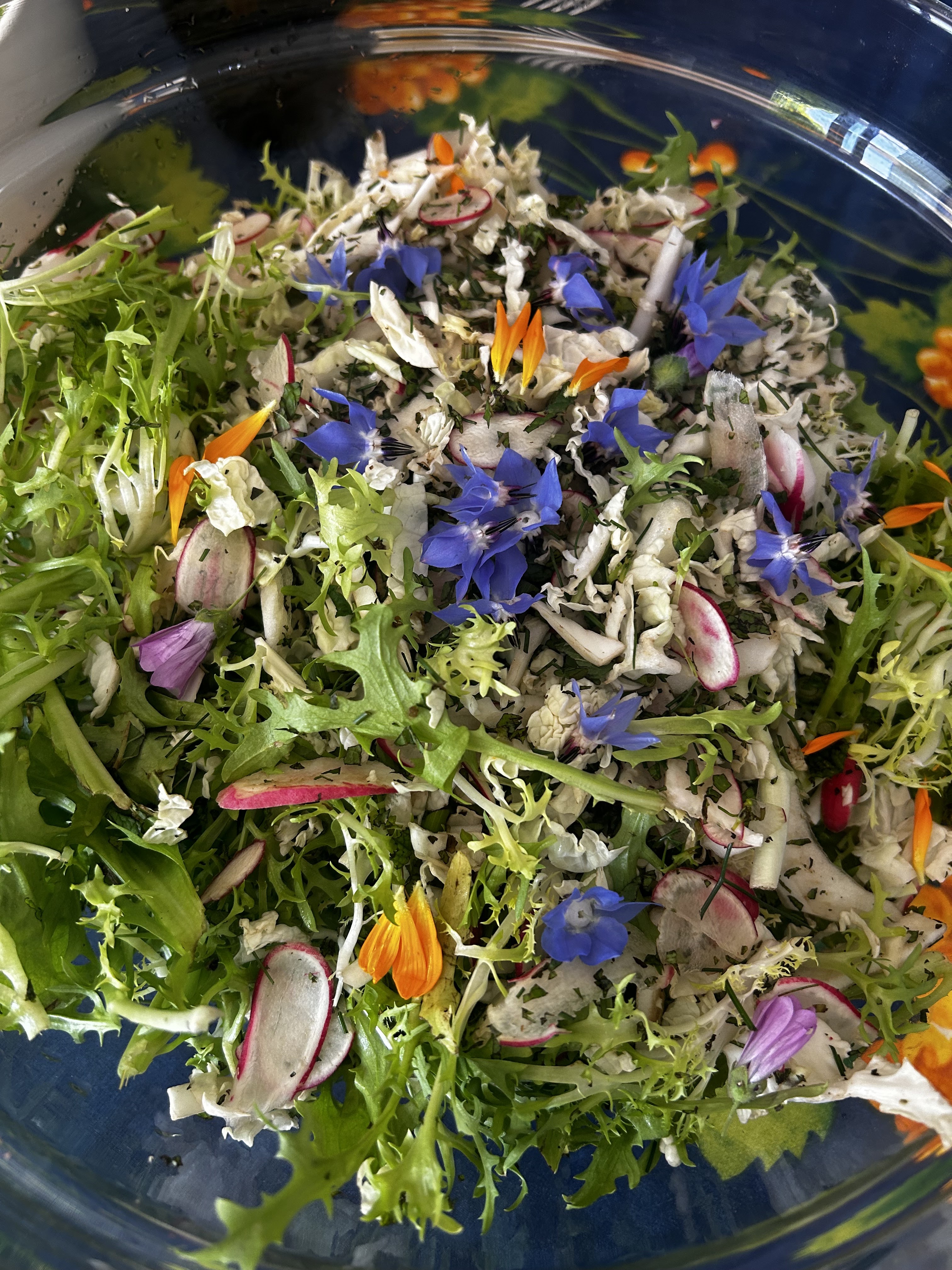 Photo n° 1 de l'avis de Vini.o fait le 26/06/2023 à 11:13