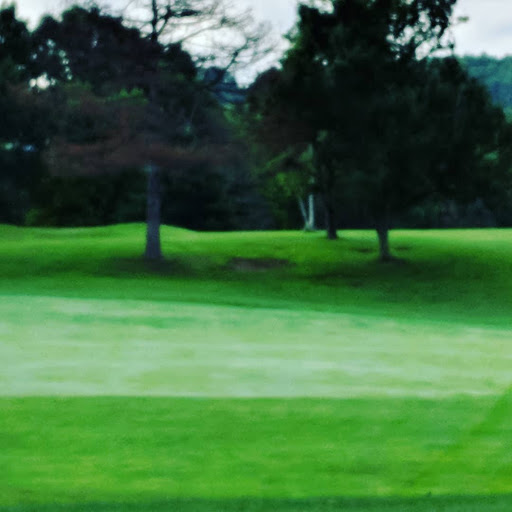 Public Golf Course «Riverview Golf Course», reviews and photos, 97 Golf Course Dr, Pittsburgh, PA 15202, USA