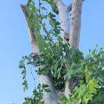 Photo n°29 de l'avis de Luigi.a fait le 16/07/2022 à 20:56 sur le  Ristorante La Tenuta Resort Agricolo à Collelungo