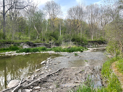 Medway valley heritage forest