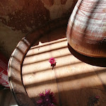 Photo n°12 de l'avis de Floriana.a fait le 23/05/2023 à 18:51 sur le  Osteria DAME' à Augusta