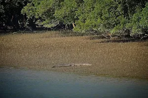 Sundarban Wildlife Safari image