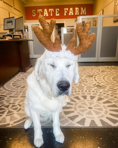 Insurance Agency «Ashley Berry - State Farm Insurance Agent», reviews and photos