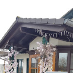 Photo n°6 de l'avis de Pitchen.� fait le 01/04/2023 à 19:52 sur le  Seehof am Aartalsee à Bischoffen