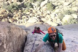 Mojave Guides - Joshua Tree Rock Climbing Guides image