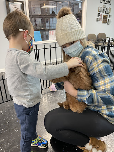 Pet Store «AA Ridgewood Kennels II, LLC», reviews and photos, 11 E Tolna Rd, Shrewsbury, PA 17361, USA