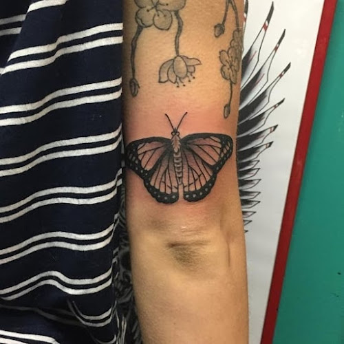 Reviews of Tattoo & Co in Brighton - Tatoo shop